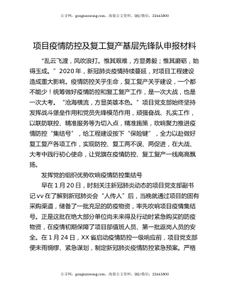 项目疫情防控及复工复产基层先锋队申报材料