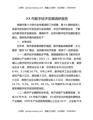 XX市数字经济发展调研报告