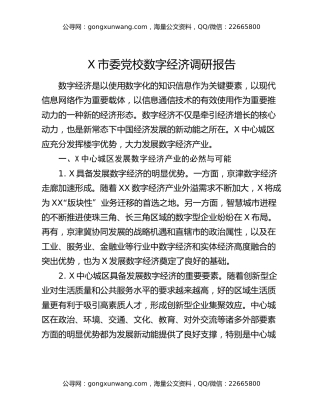X市委党校数字经济调研报告