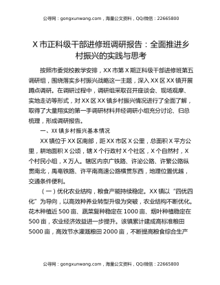 X市正科级干部进修班调研报告：全面推进乡村振兴的实践与思考