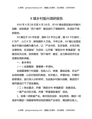 X镇乡村振兴调研报告