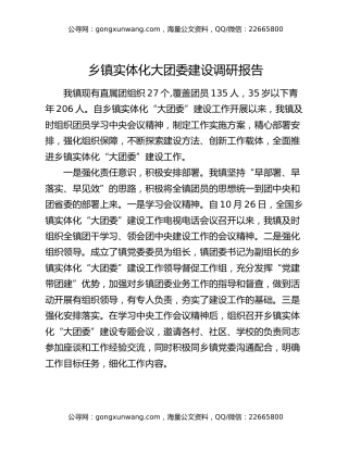 乡镇实体化大团委建设调研报告
