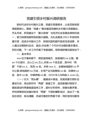 党建引领乡村振兴调研报告