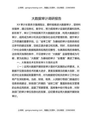 大数据审计调研报告