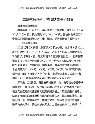 主题教育调研：精准扶贫调研报告