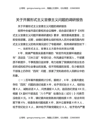 关于开展形式主义官僚主义问题的调研报告