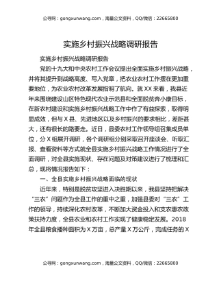 实施乡村振兴战略调研报告