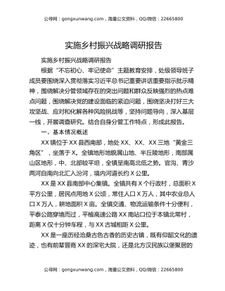 实施乡村振兴战略调研报告（2）