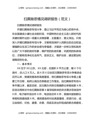 扫黑除恶情况调研报告（范文）