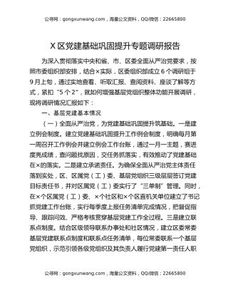 X区党建基础巩固提升专题调研报告