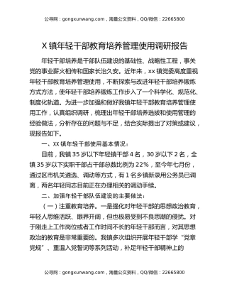 X镇年轻干部教育培养管理使用调研报告
