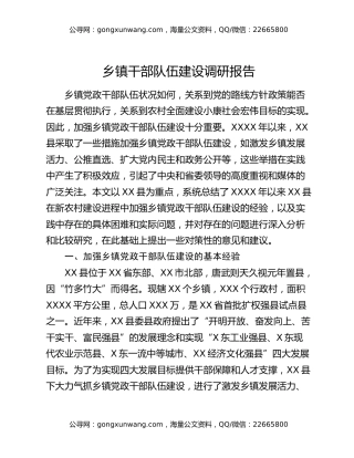 乡镇干部队伍建设调研报告