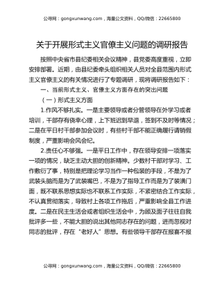 关于开展形式主义官僚主义问题的调研报告