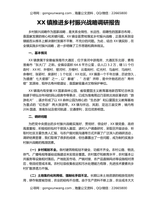 XX镇推进乡村振兴战略调研报告