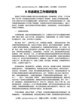 X市选调生工作调研报告