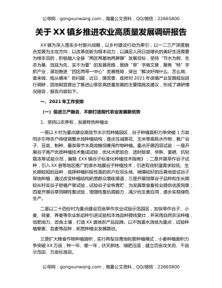 关于XX镇乡推进农业高质量发展调研报告