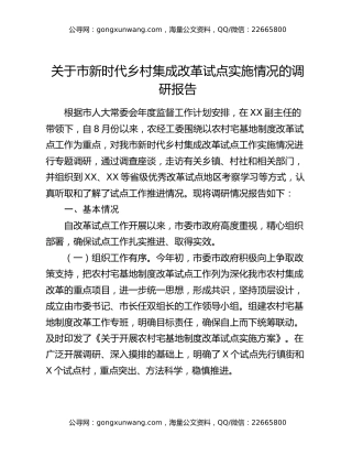 关于市新时代乡村集成改革试点实施情况的调研报告