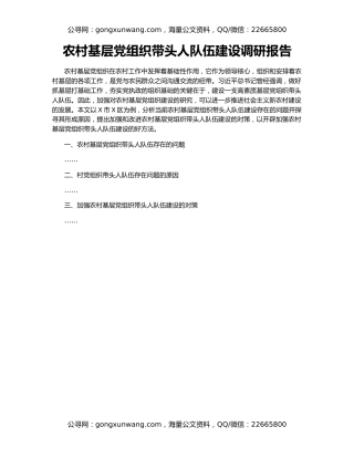 农村基层党组织带头人队伍建设调研报告