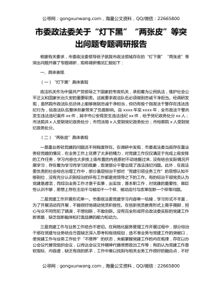 市委政法委关于“灯下黑”“两张皮”等突出问题专题调研报告