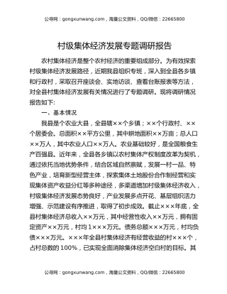 村级集体经济发展专题调研报告