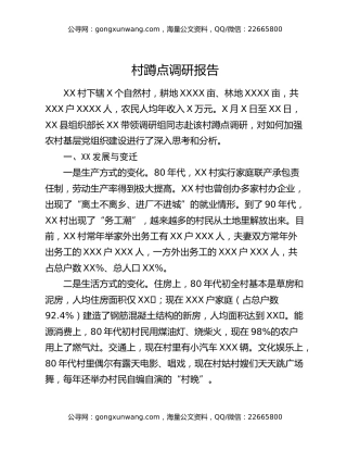 村蹲点调研报告