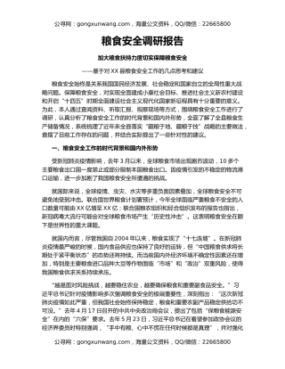 粮食安全调研报告