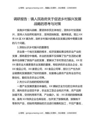 调研报告：镇人民政府关于促进乡村振兴发展战略的思考与对策