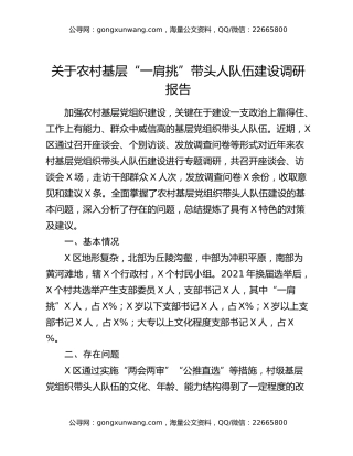 关于农村基层“一肩挑”带头人队伍建设调研报告