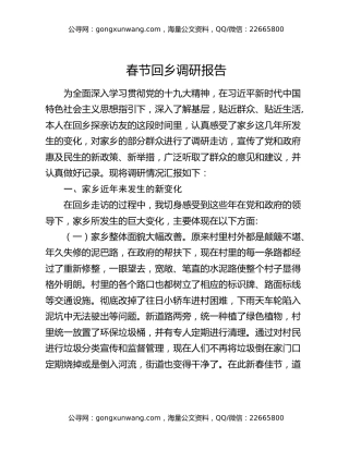 春节回乡调研报告