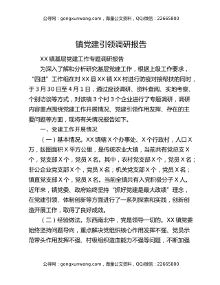 镇党建引领调研报告