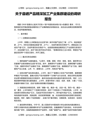关于县硒产品精深加工产业集群建设的调研报告