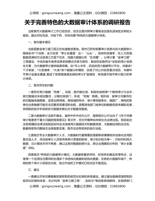关于完善特色的大数据审计体系的调研报告
