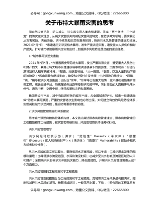 关于市特大暴雨灾害的思考