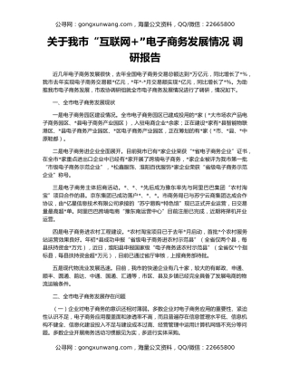 关于我市“互联网+”电子商务发展情况 调研报告
