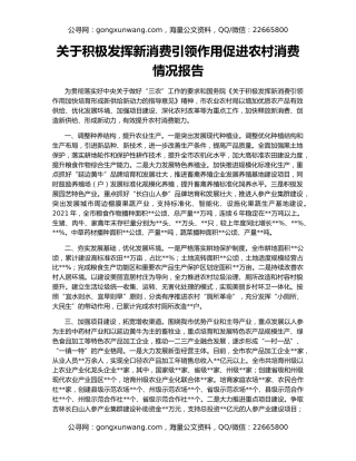 关于积极发挥新消费引领作用促进农村消费情况报告
