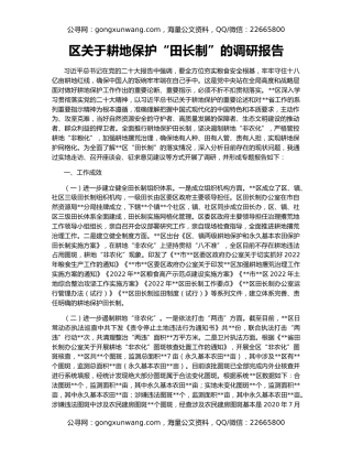 区关于耕地保护“田长制”的调研报告