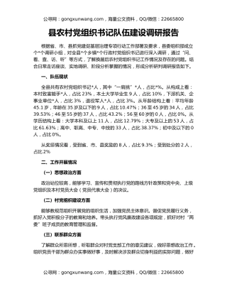 县农村党组织书记队伍建设调研报告