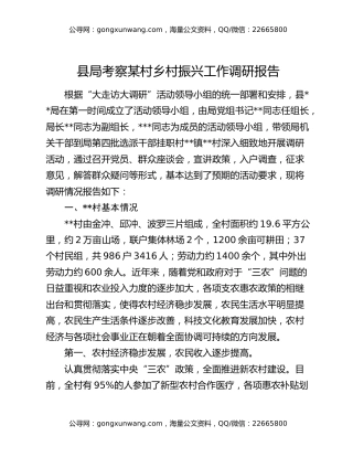 县局考察某村乡村振兴工作调研报告