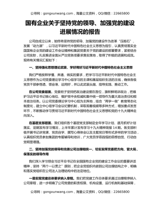 国有企业关于坚持党的领导、加强党的建设进展情况的报告