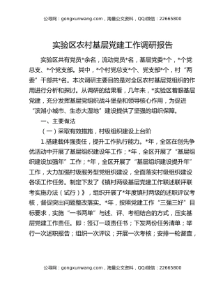 实验区农村基层党建工作调研报告
