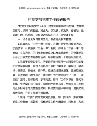 村党支部党建工作调研报告
