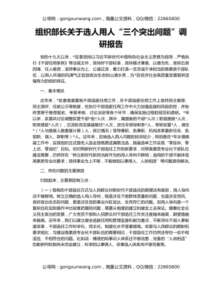 组织部长关于选人用人“三个突出问题”调研报告
