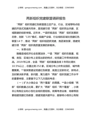 两新组织党建联盟调研报告