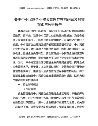 关于中小民营企业资金管理存在的问题及对策探索与分析报告