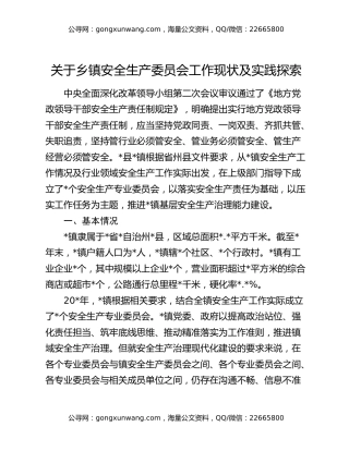 关于乡镇安全生产委员会工作现状及实践探索