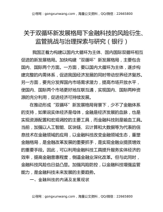 关于双循环新发展格局下金融科技的风险衍生、监管挑战与治理探索与研究（银行）