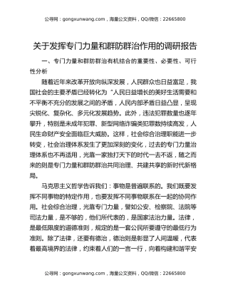 关于发挥专门力量和群防群治作用的调研报告