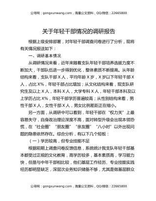 关于年轻干部情况的调研报告