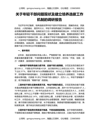 关于年轻干部问题现状及建立培养选拔工作机制的调研报告