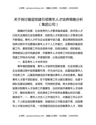 关于探讨基层党建引领青年人才培养策略分析（集团公司）